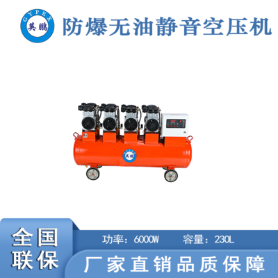 防爆空壓機(jī)-6000w